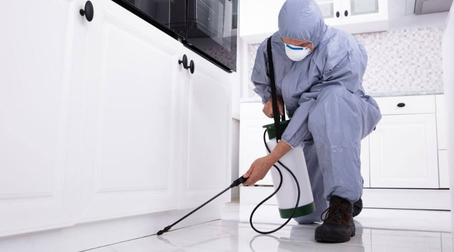 Professional pest control services in Grapevine